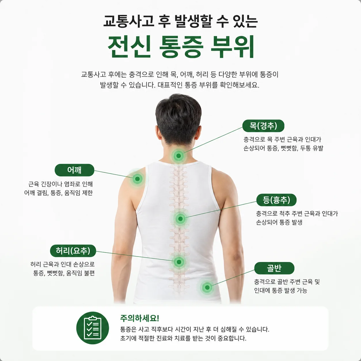 교통사고 후 몸살처럼 통증이 나타나는 전신 부위 안내 그림