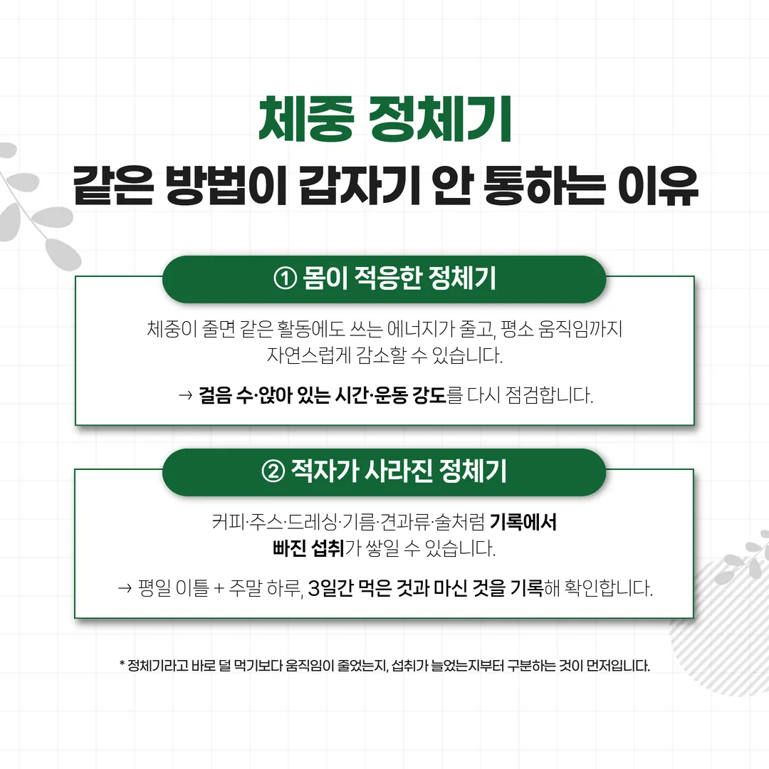 기록에서 빠지기 쉬운 음료와 소스