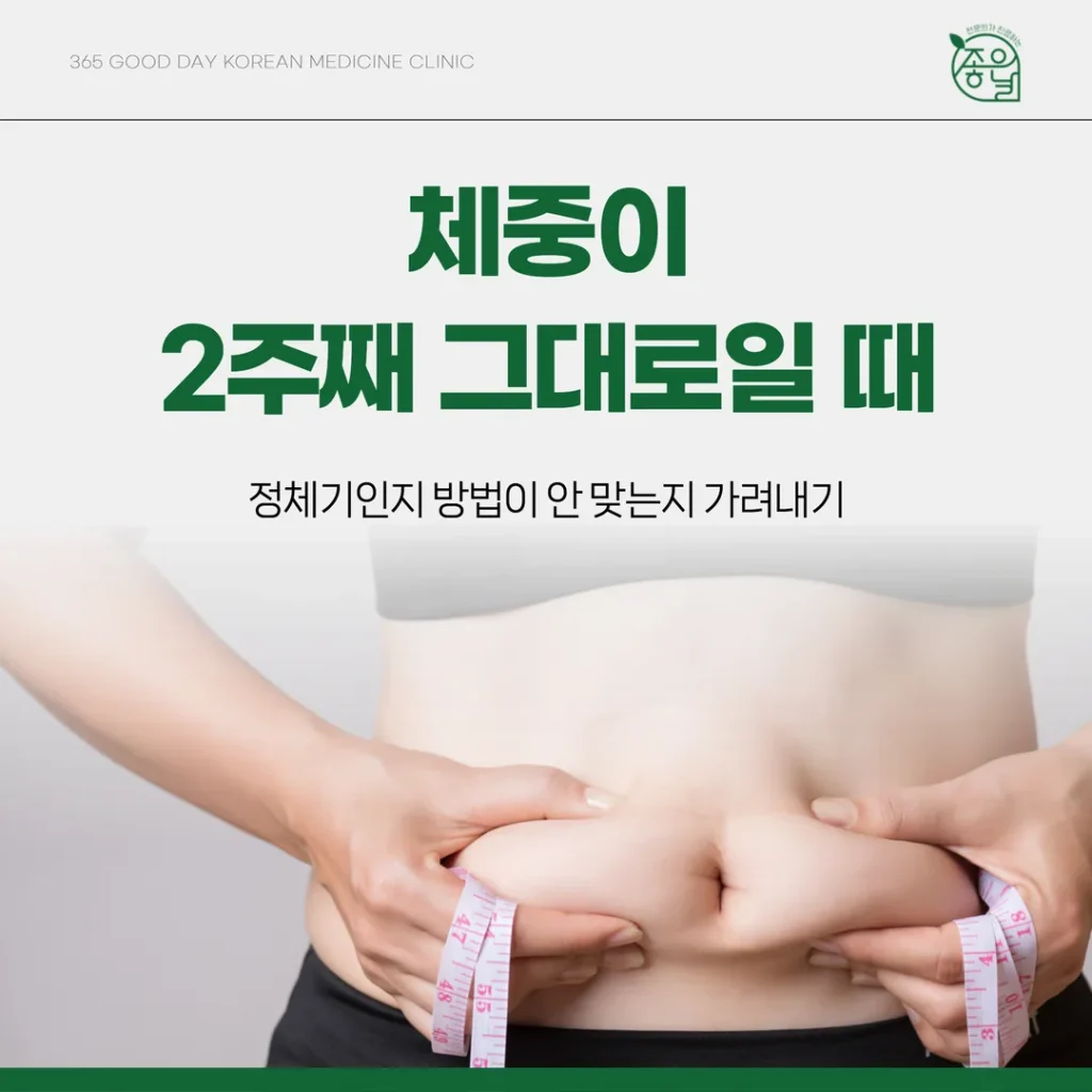 체중이 2주째 그대로일 때 — 정체기인지 방법이 안 맞는지 가려내기