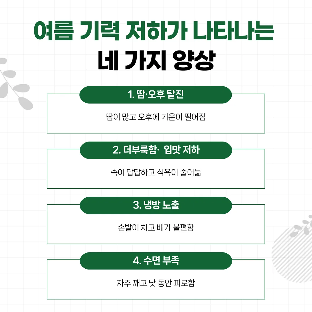 여름 기력 저하가 나타나는 네 가지 양상 구분표