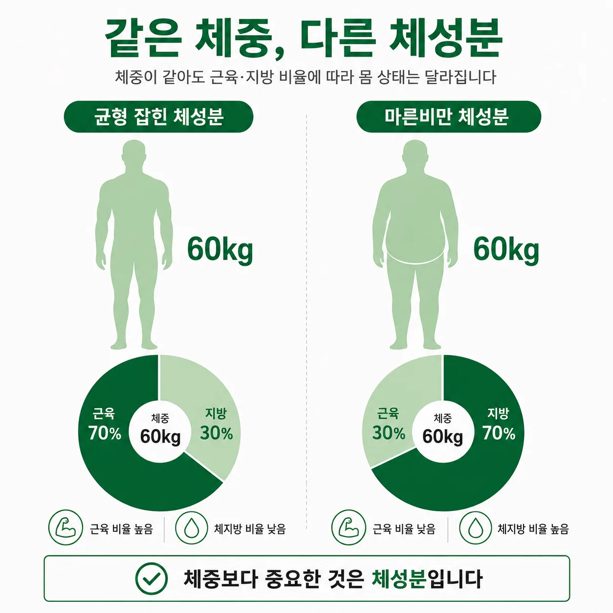 체중이 같아도 체지방률과 근육량이 다른 신체 구성 비교