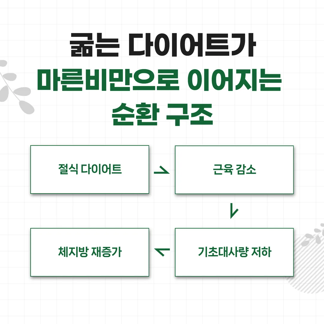 굶는 다이어트가 마른비만으로 이어지는 순환 구조