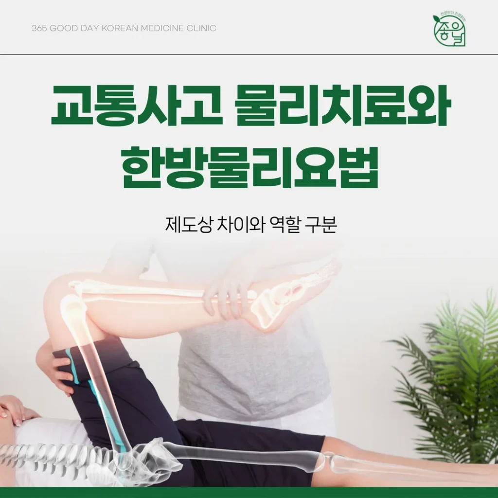 교통사고 물리치료와 한방물리요법, 제도상 차이와 역할 구분