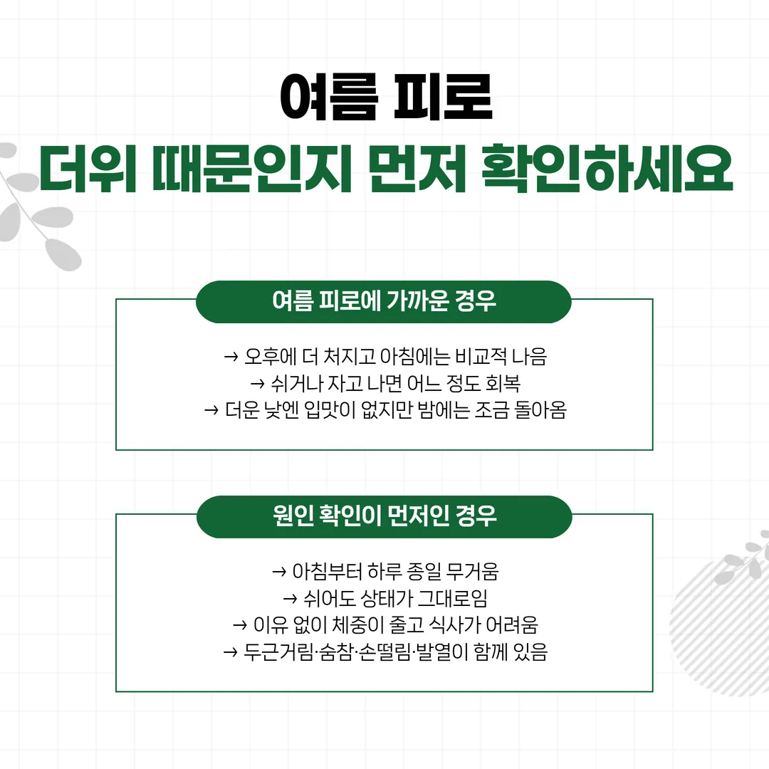 여름 기력 회복 한약 상담의 문진 장면