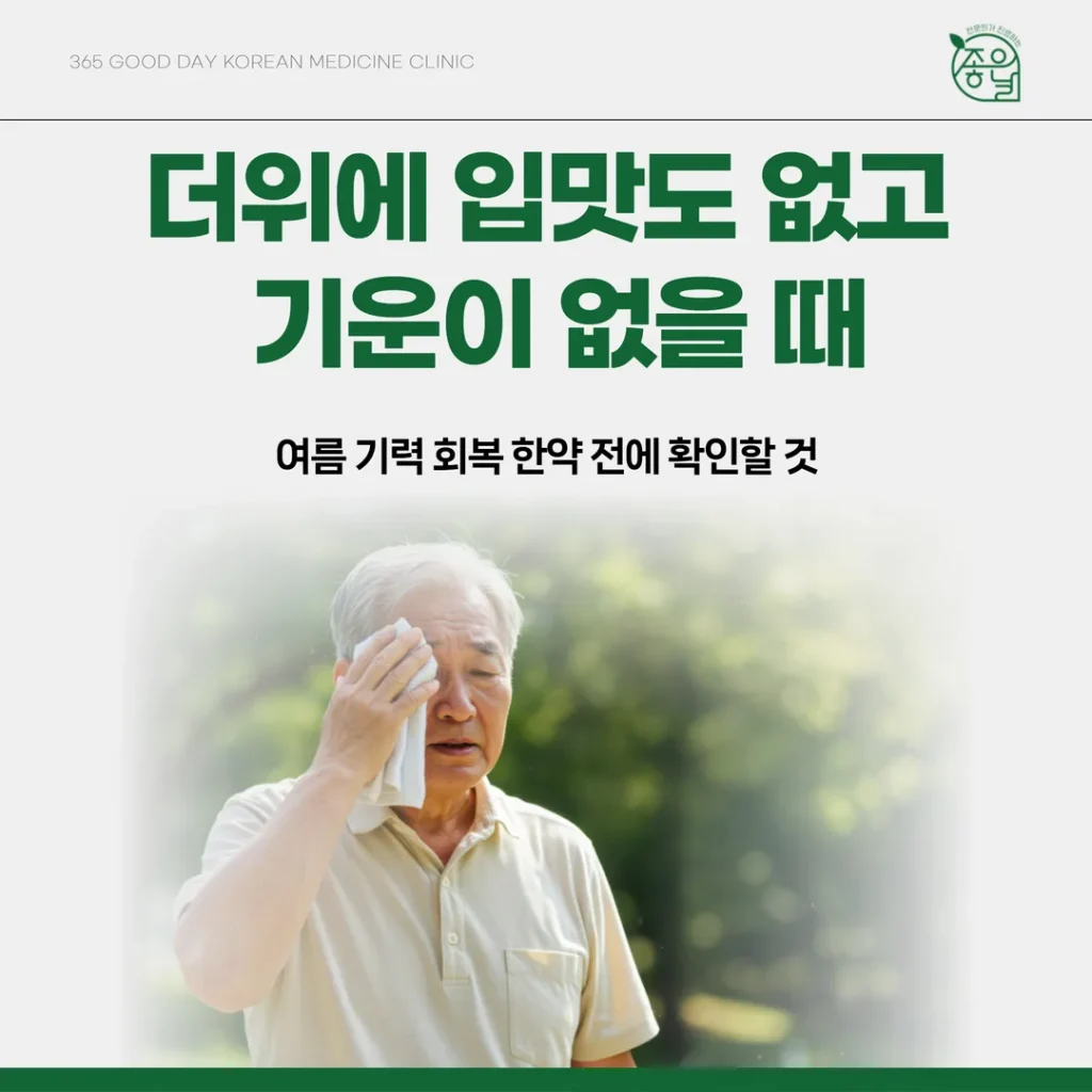 더위에 입맛도 없고 기운이 없을 때 — 여름 기력 회복 한약 전에 확인할 것