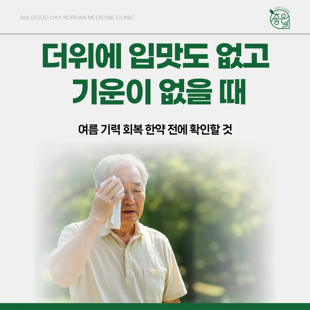 더위에 입맛도 없고 기운이 없을 때 — 여름 기력 회복 한약 전에 확인할 것