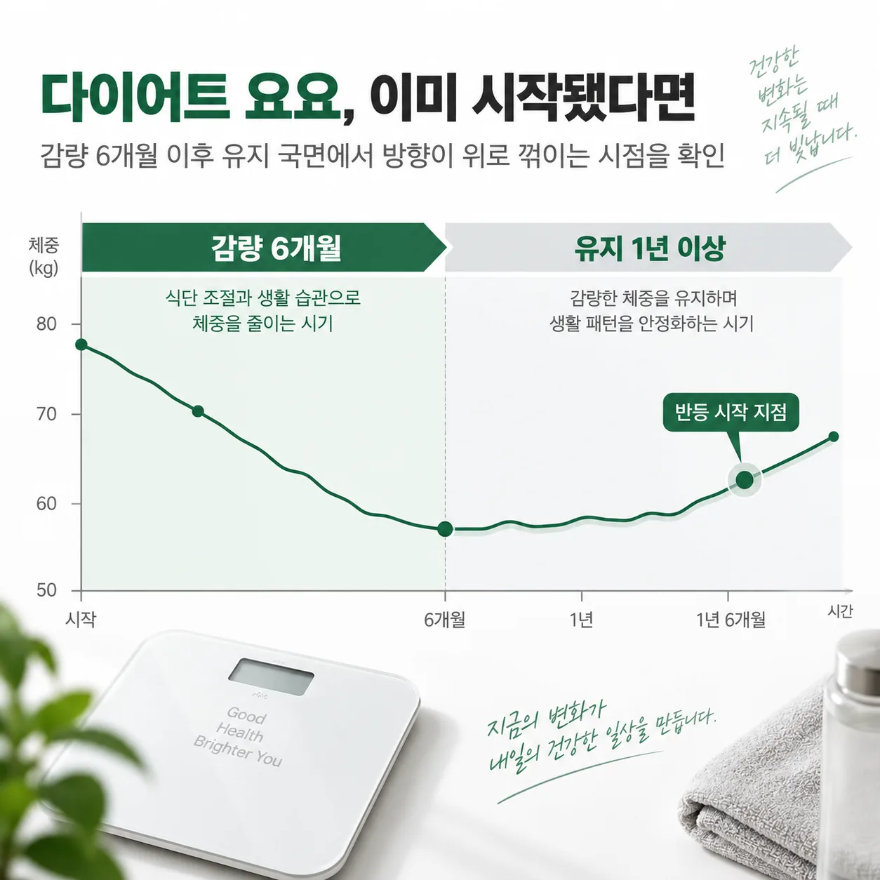 감량 6개월과 그 뒤 1년 이상 유지 국면을 시간축에 나눈 개념도