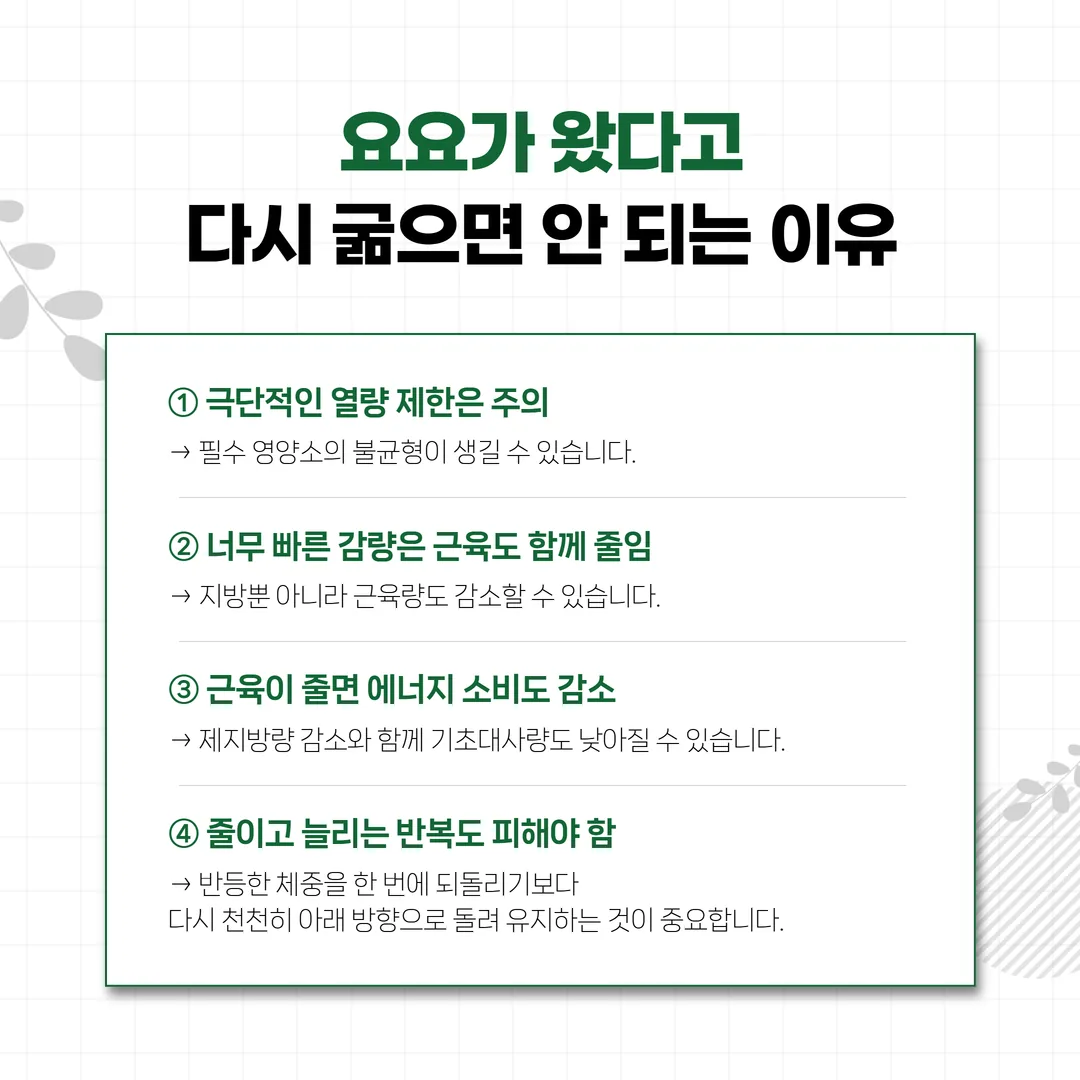 하루 500kcal 감소가 주당 약 0.5kg 감량 속도에 대응하는 것을 보여 주는 도식