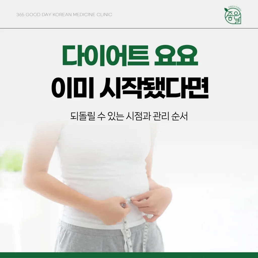 다이어트 요요, 이미 시작됐다면 — 되돌릴 수 있는 시점과 관리 순서