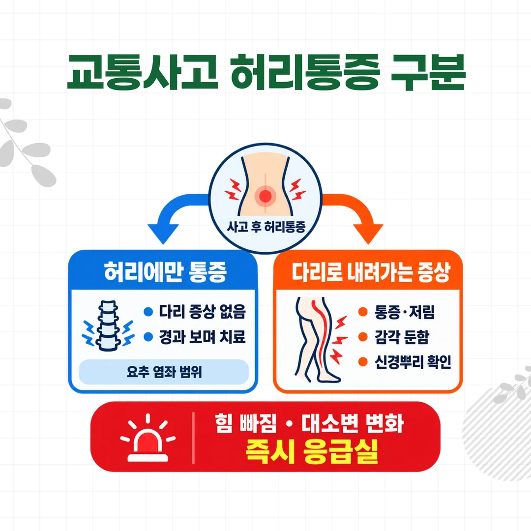 교통사고 허리통증을 다리 저림 동반 여부로 나눈 감별 개념도