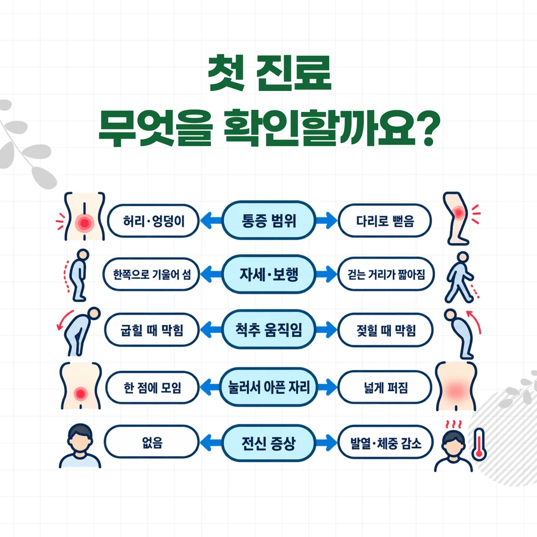 첫 진료의 다섯 가지 확인 항목과 각각의 갈림을 좌우로 나눈 도식