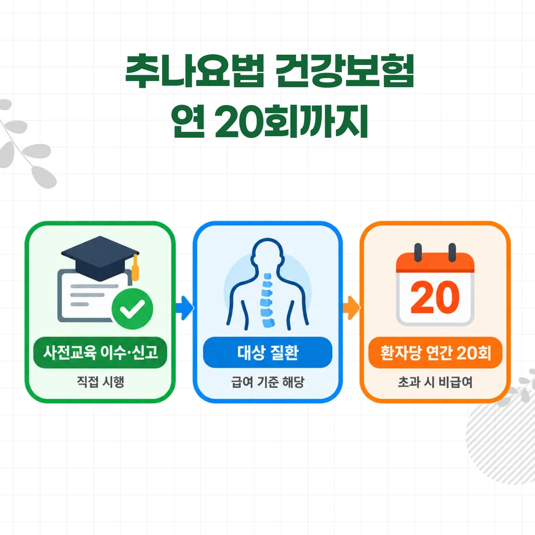 추나요법 건강보험 급여의 세 가지 조건을 세 칸으로 나눈 개념도