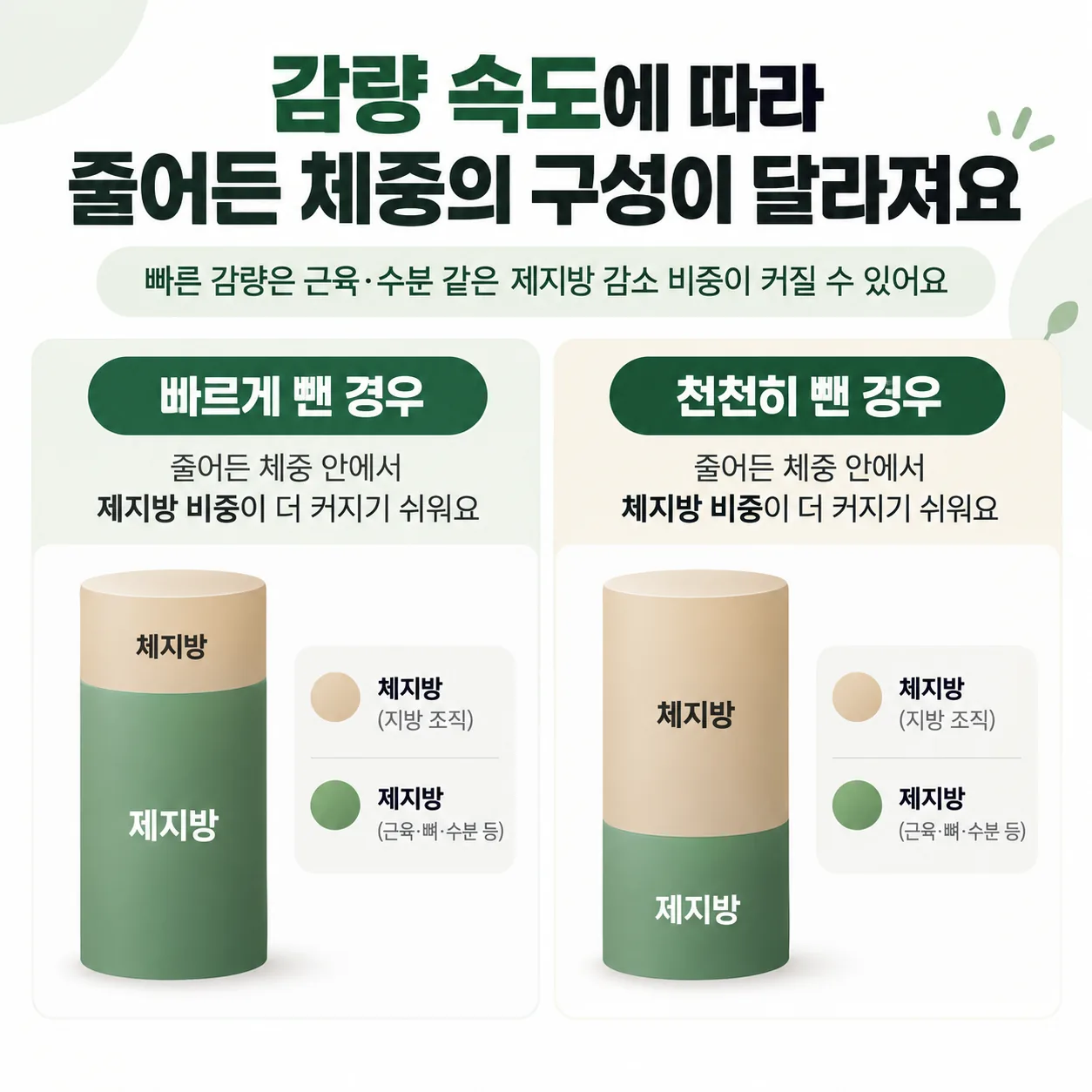 다이어트 감량 속도에 따라 줄어든 체중 속 체지방과 제지방 비중이 달라지는 개념도