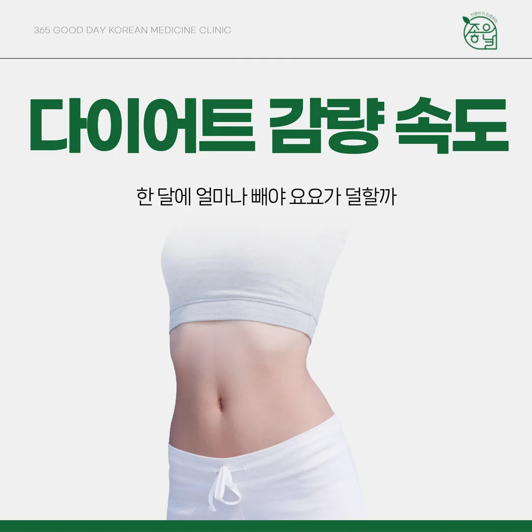 다이어트 감량 속도, 한 달에 얼마나 빼야 요요가 덜할까